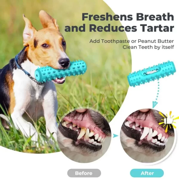 Molar Dog Chew Toy- Green - Image 2