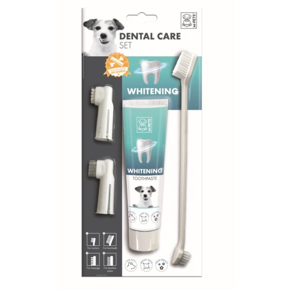 DENTAL CARE WHITENING SET