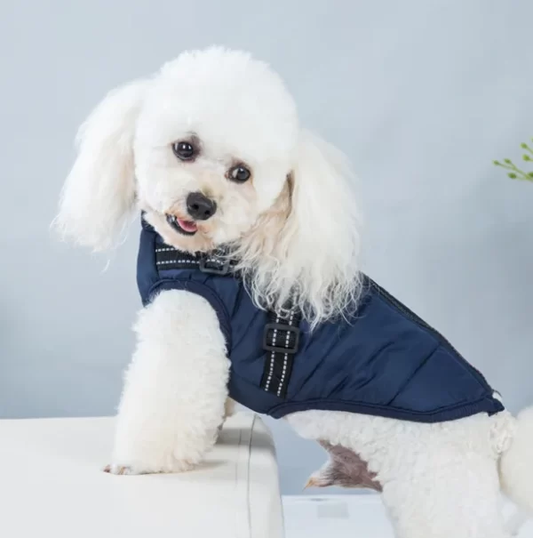 Dog Jacket with Harness - Blue - Image 2