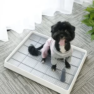 Potty Pad