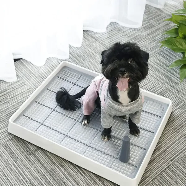 Potty Pad