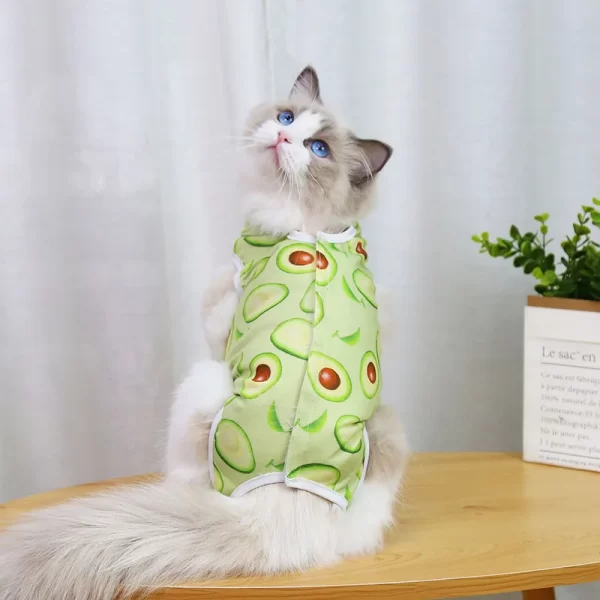 Pet Recovery Suit - Image 2