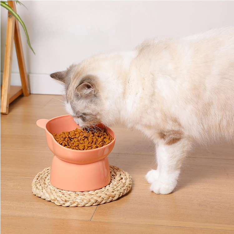 Cat Food Bowl - Image 2