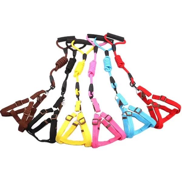 Harness with leash