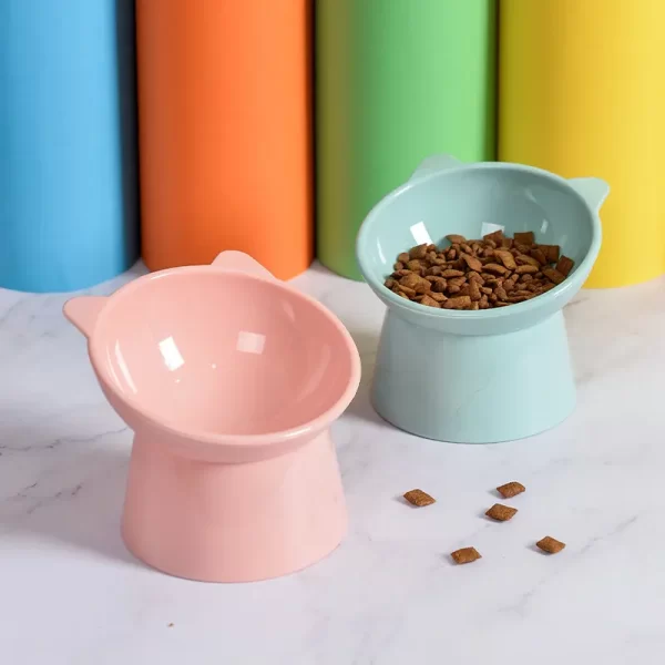 Cat Food Bowl