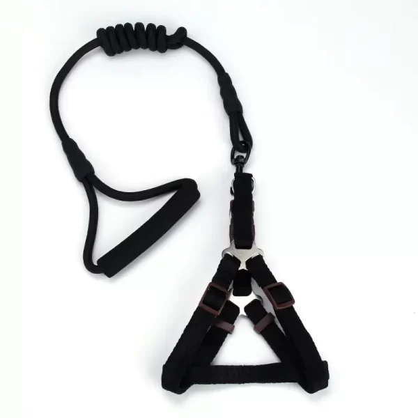Harness with leash - Image 4