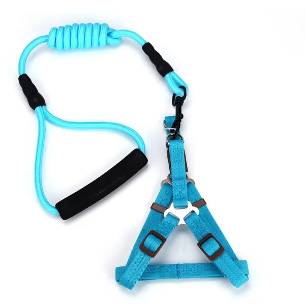 Harness with leash - Image 5