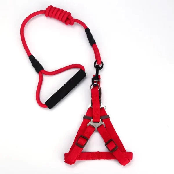 Harness with leash - Image 6