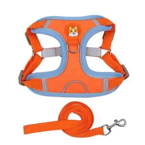 Dog Harness- Orange