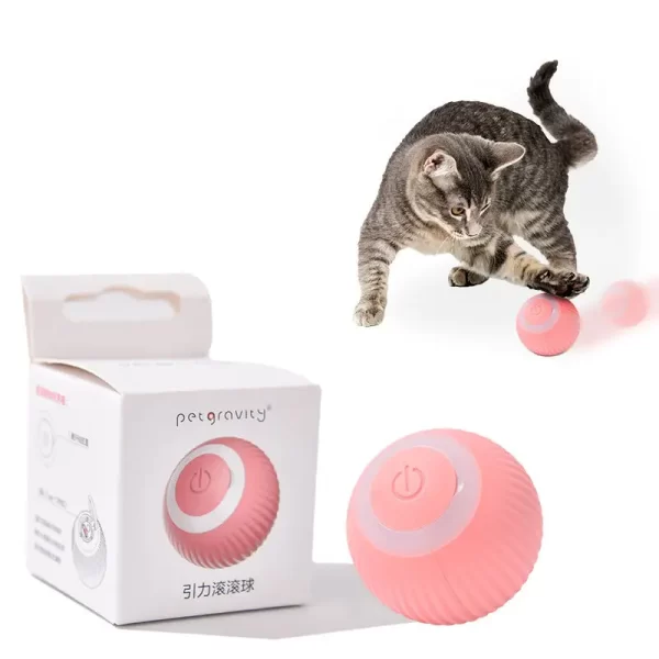 Cat Gravity Ball