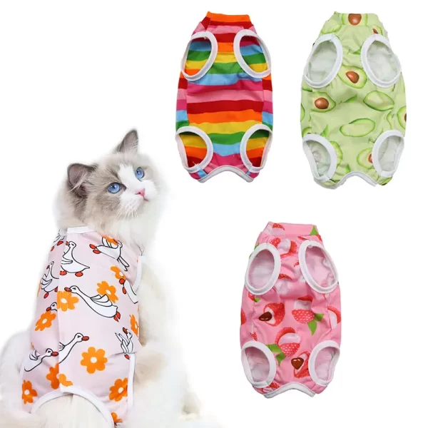 Pet Recovery Suit