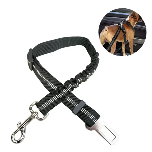 Car Seat Belt