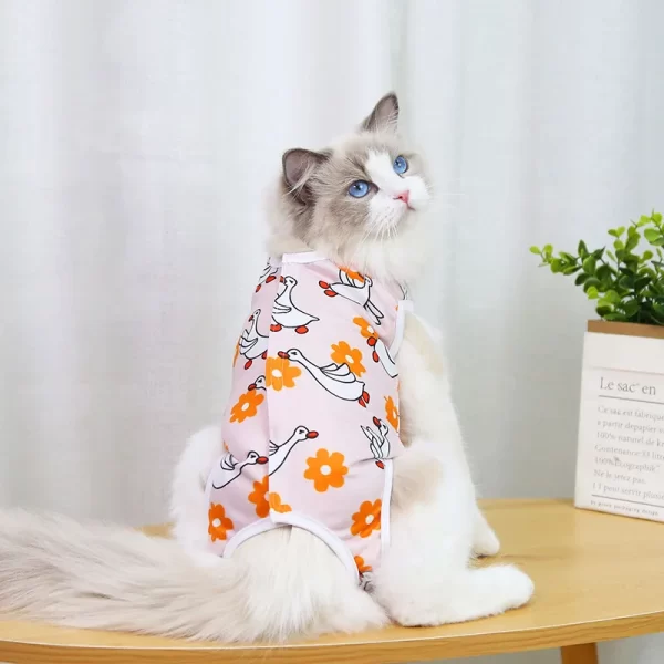 Pet Recovery Suit - Image 4