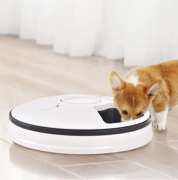 Frisbee Auto Pet Feeder