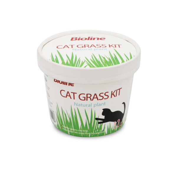 Cat Grass Kit 12g – Ice Cream Cup