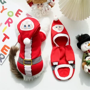 Christmas Hoodie Outfit