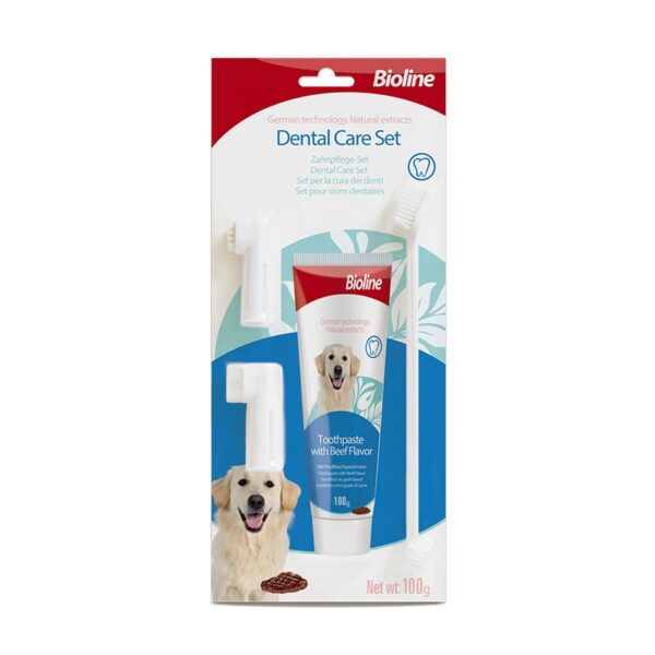 Dental Hygiene Kit Beef Flavour