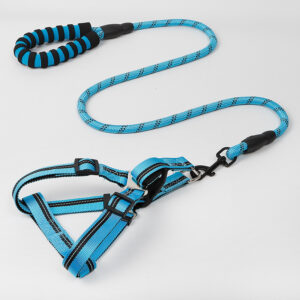 Harness with Leash- Blue