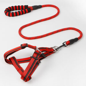 Harness with Leash - Red