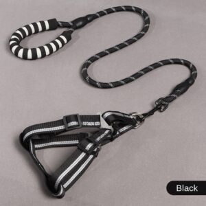 Harness with Leash- Black