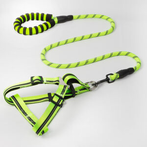 Harness with Leash - Green