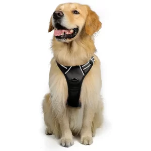 Non-Pulling Dog Harness - Black