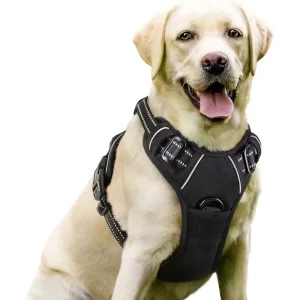 No-Pull Dog Harness- Black