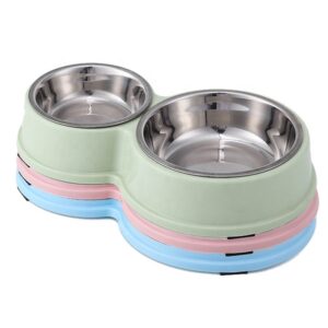 Dual Feeding Bowl