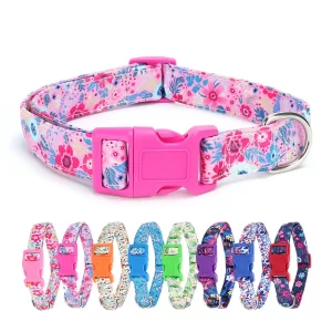 Dog Collars