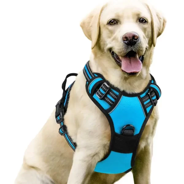 No-Pull Dog Harness- Blue
