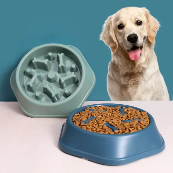 Slow Feeder Bowl - Image 2