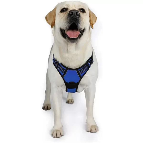 Non-Pulling Dog Harness - Blue