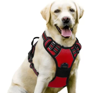 No-Pull Dog Harness- Red