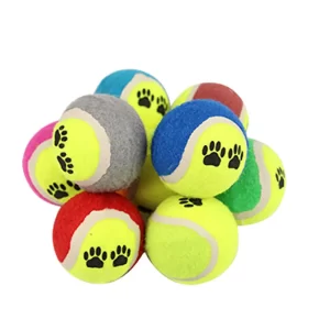 Dog Training Tennis Ball (1PC)