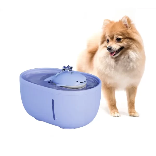 Water Fountain