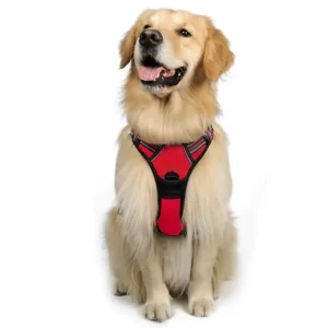 Non-Pulling Dog Harness - Red