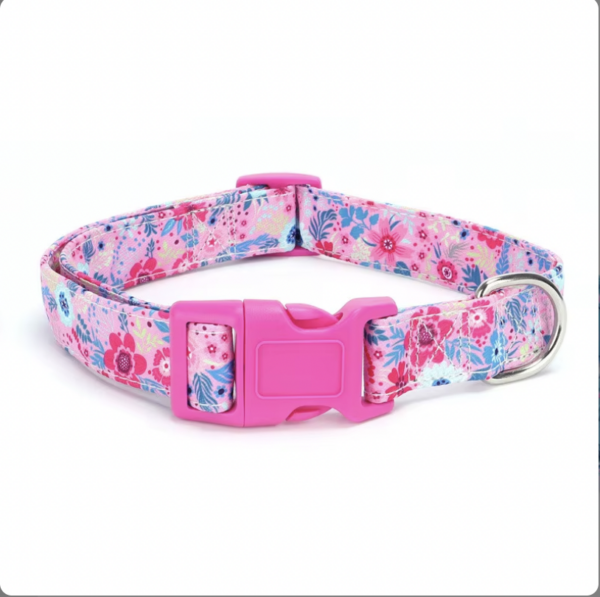 Dog Collars - Image 6