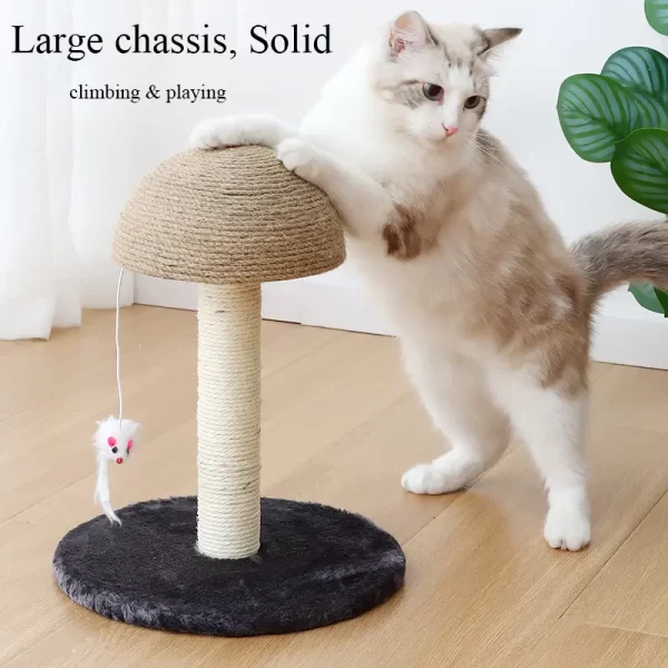 Cat Scratch Post