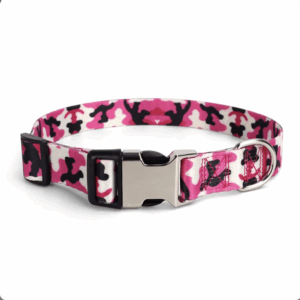 Dog Collar