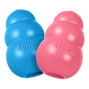 KONG PUPPY