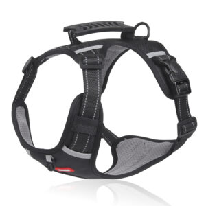 Pet Harness