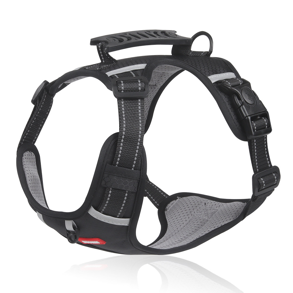 Pet Harness