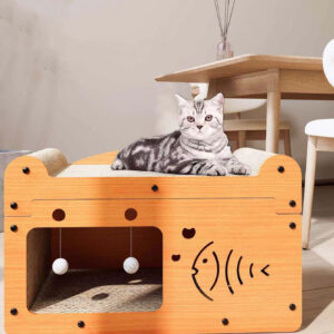 Cat Scratch Board