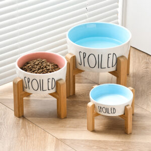 Elevated Ceramic Pet Bowl