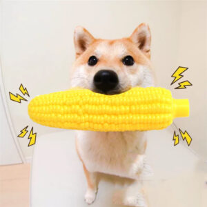 Dog Chew Toy