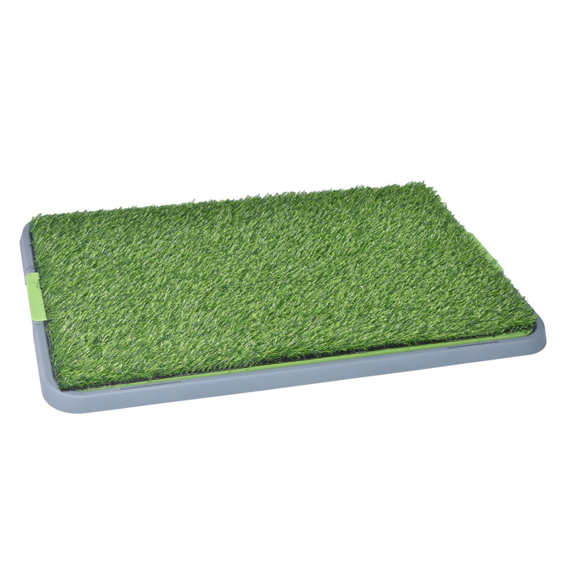 Potty Pad