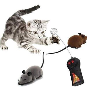 Remote Control Cat Toy