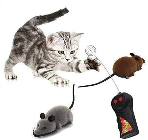 Remote Control Cat Toy