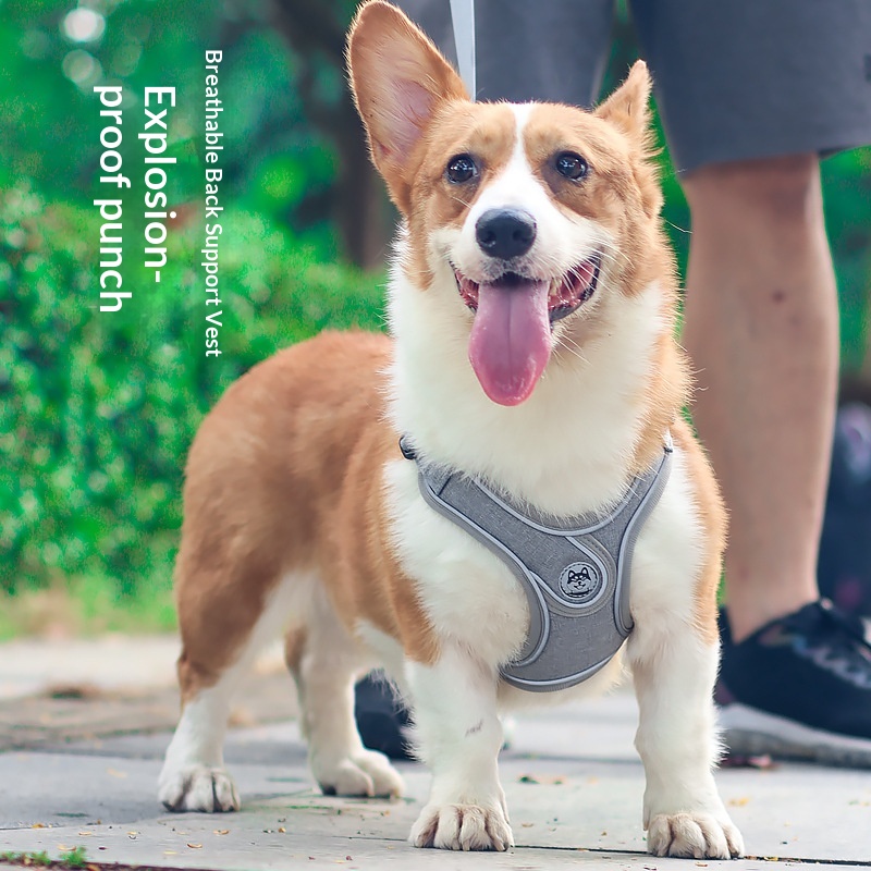 Dog Harness - Grey - Image 2