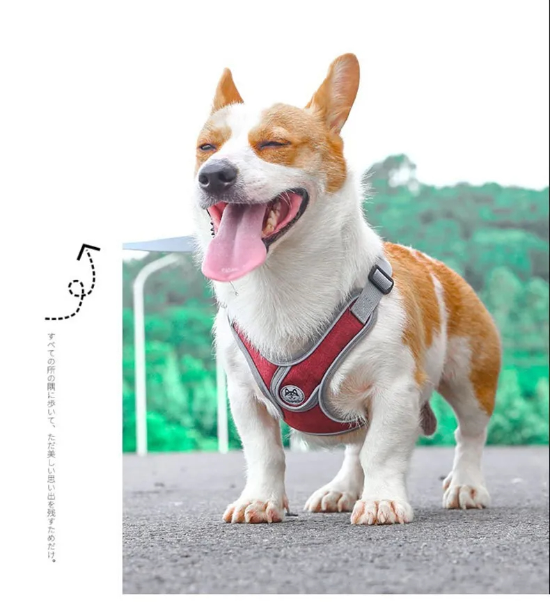 Dog Harness - Red - Image 2
